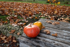 Festival des vins de l'AOC Touraine 2025 au prieuré St Cosme à La RIche (37).