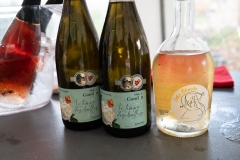 Festival des vins de l'AOC Touraine 2025 au prieuré St Cosme à La RIche (37).