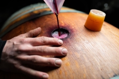 Projet mains de vignerons de l'AOC Touraine. Thomas Frissant, vigneron à Mosnes (37).