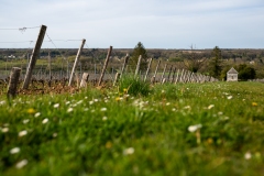 Touraine20220411G9027