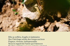 PETITE POESIE DE LA VIGNE