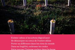 6-250801-visuels-AOC-Touraine-lot-2-6b