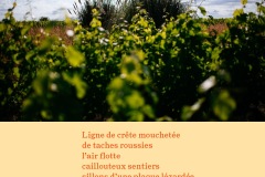 7-250801-visuels-AOC-Touraine-lot-2-7b