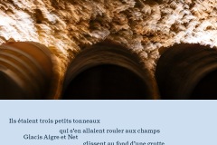 8-250801-visuels-AOC-Touraine-lot-2-8b