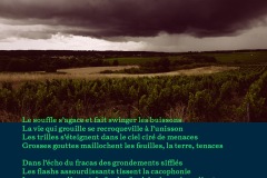 9-250801-visuels-AOC-Touraine-lot-2-9b
