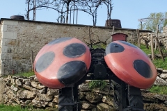 lundi-balade-dans-les-vignes-6